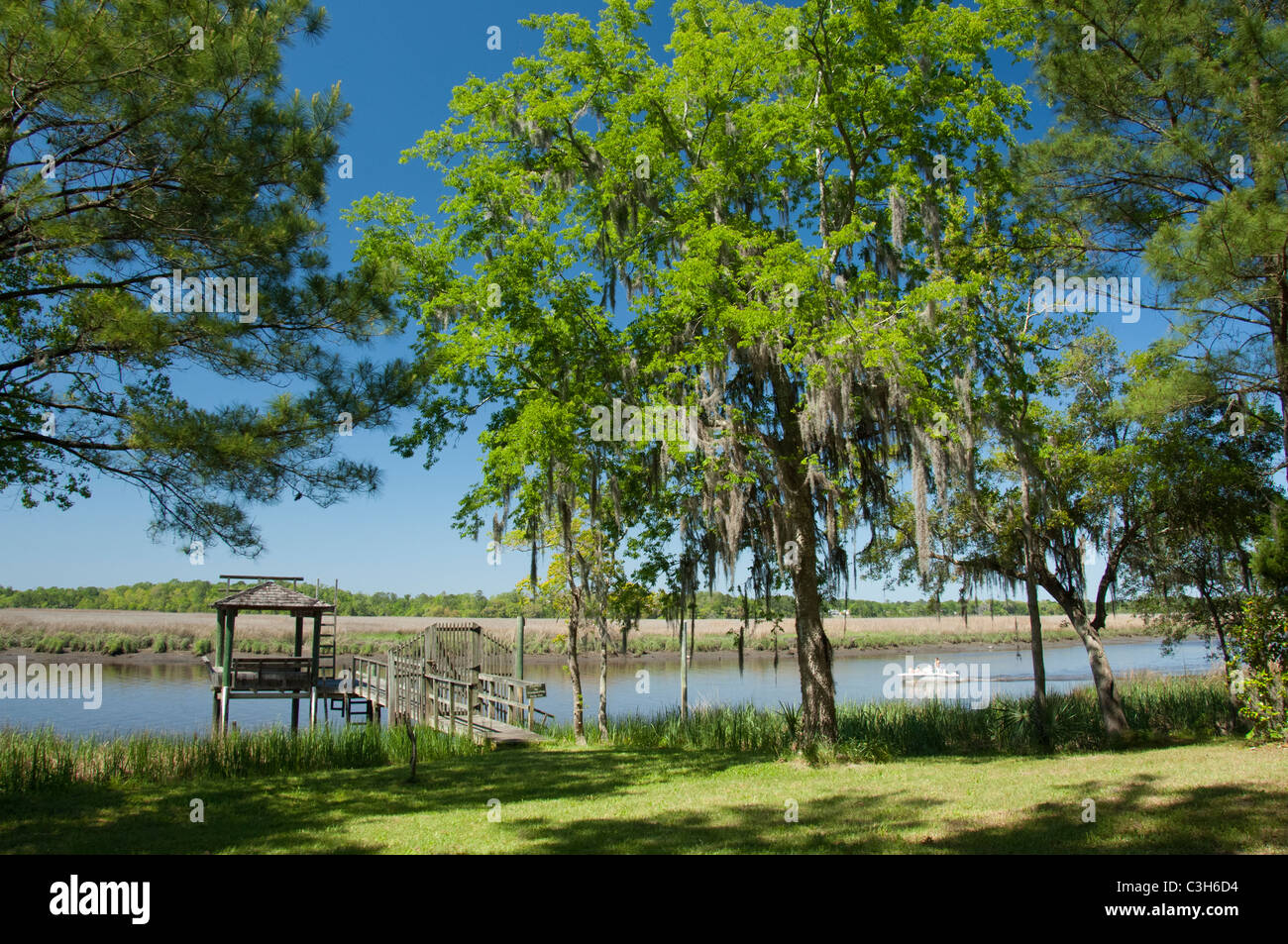 Carolina del Sud, Charleston, Magnolia Plantation & Gardens. Ashley River. Foto Stock