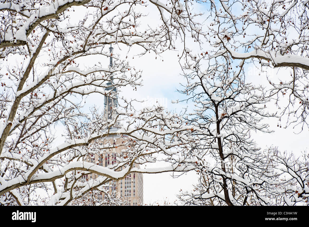 Empire State Building dietro inverno alberi Foto Stock