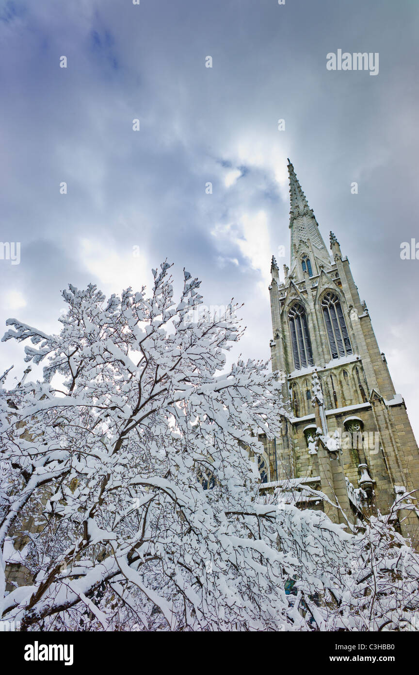 Inverno albero con il campanile di una chiesa dietro Foto Stock