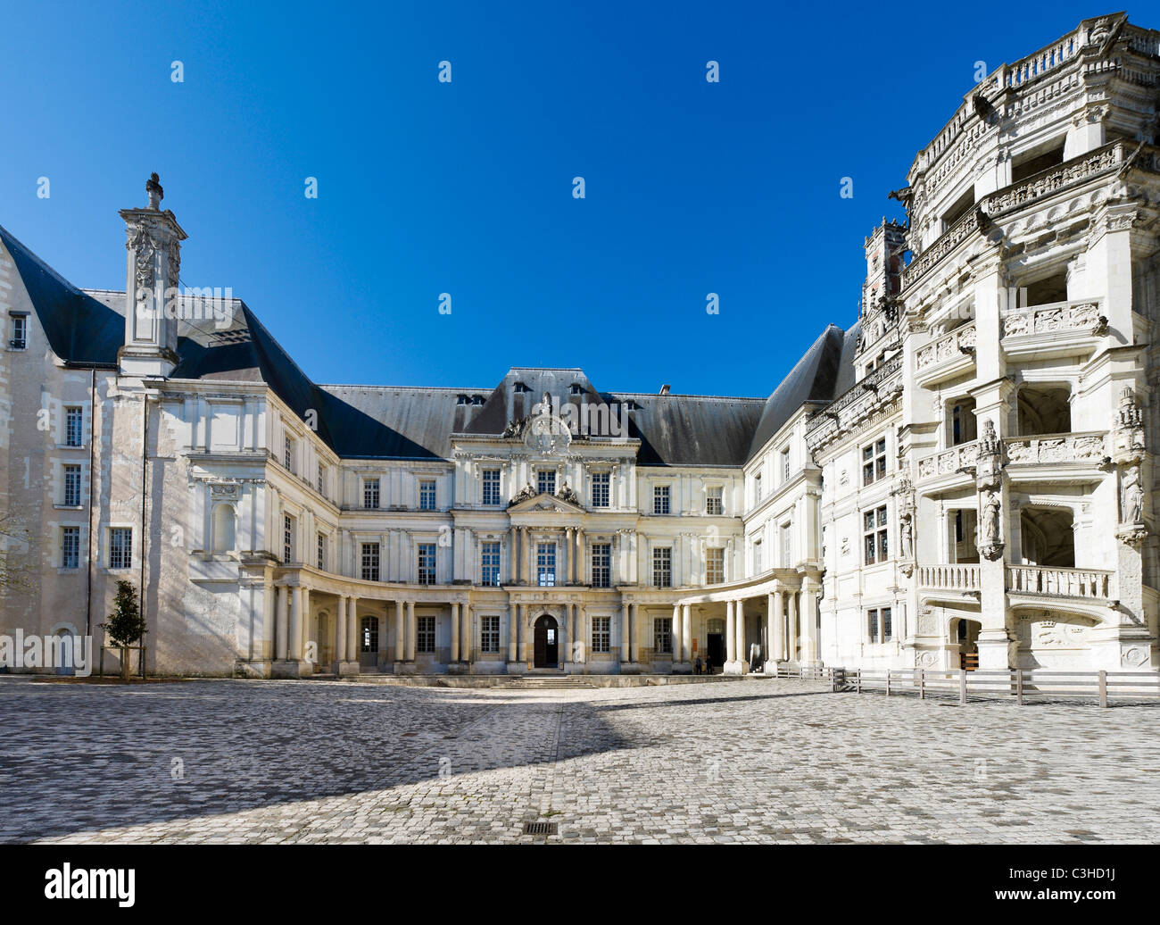 Il Gaston d'Orleans e Francois i parafanghi, Chateau de Blois, Valle della Loira, Francia Foto Stock