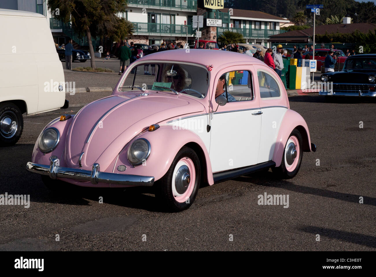 Rosa e Bianco Vw Bug Foto Stock