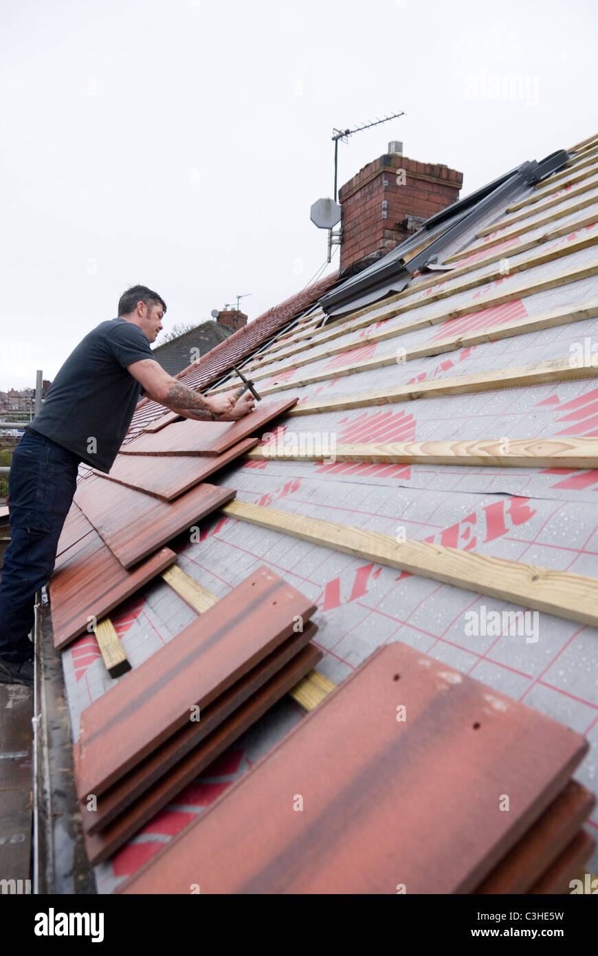 Uomo di chiodatura in casa nuove tegole del tetto in piedi su un ponteggio, Re di copertura casa residenziale dalla copertura Ontop, Sheffield, Inghilterra Foto Stock