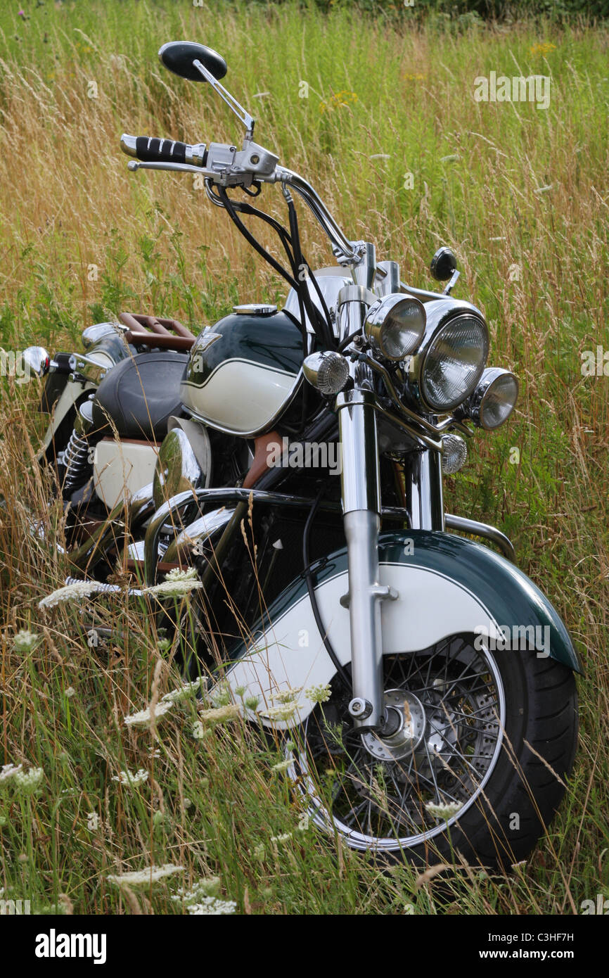 Motorrad, Kawasaki, im Kornfeld, moto, Moto, in cornfield Foto Stock