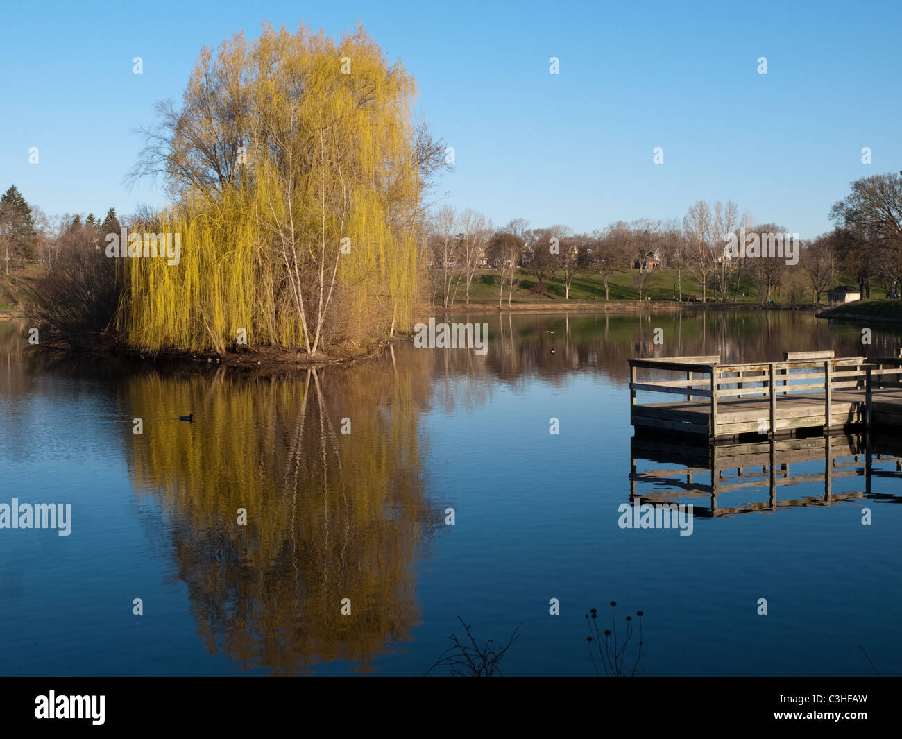 La selvaggia isola nel lago a Powderhorn Park, Minneapolis, MN, inizio maggio 2011 Foto Stock