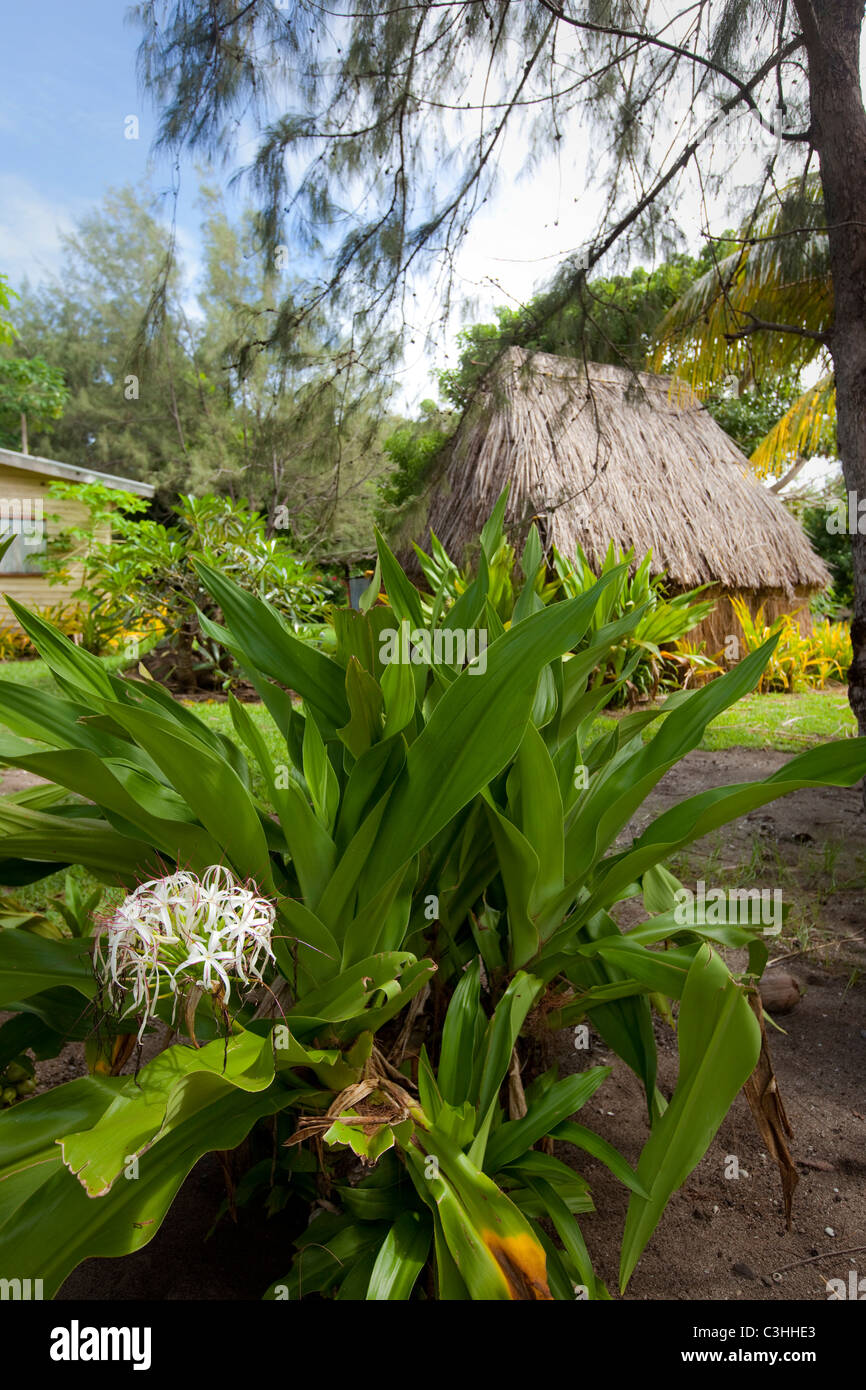 Isola di Yasawa, Isole Figi Foto Stock