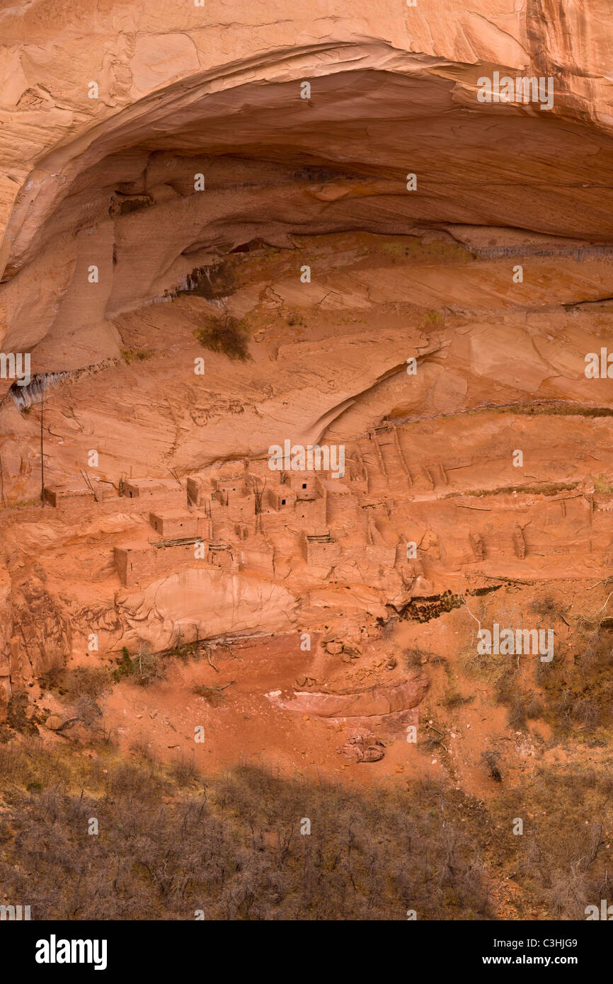 Betatakin rovina, il significato di "casa costruita su una sporgenza' nella Navajo, Navajo National Monument, Arizona, Stati Uniti. Foto Stock