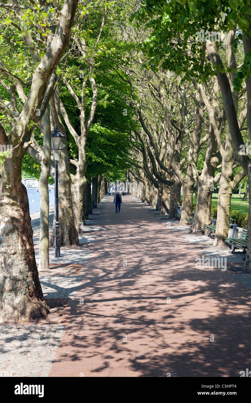 Greenwich Promenade, Alt Tegel, Reinickendorf, Berlino, Germania Foto Stock