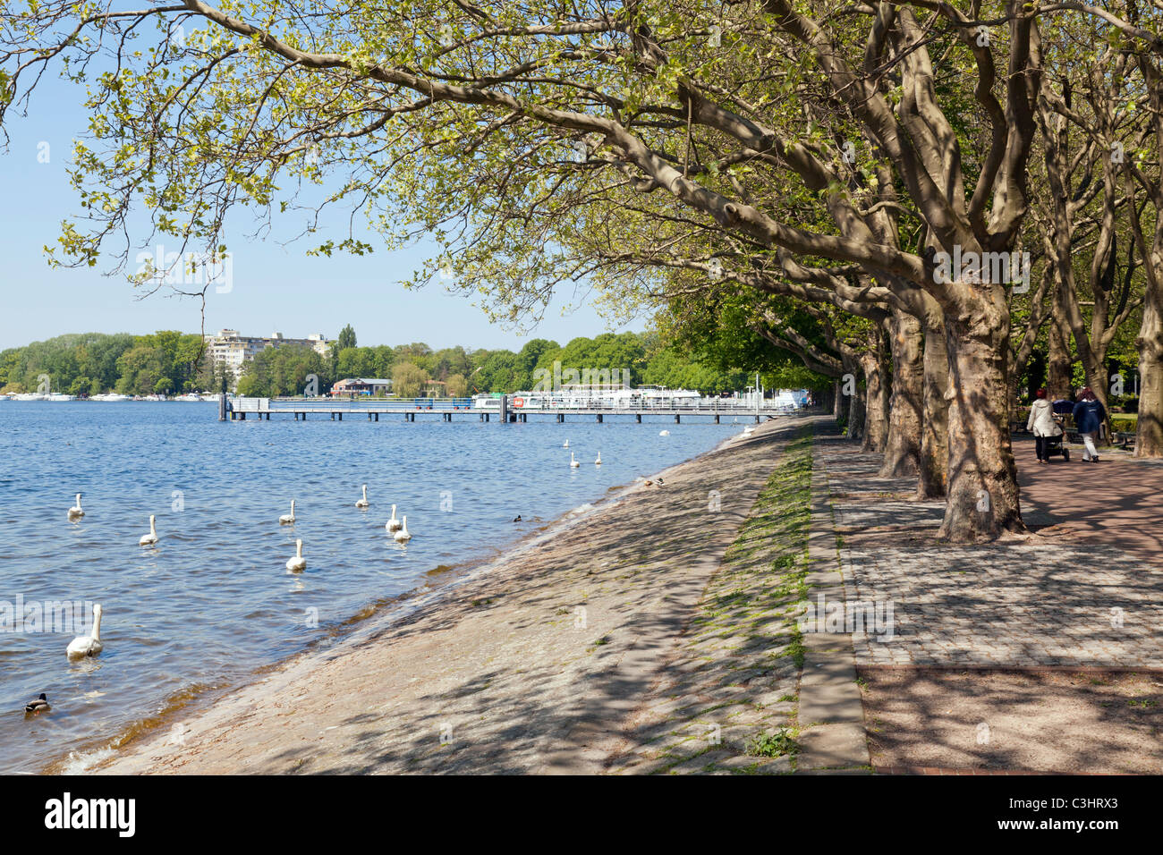 Greenwich Promenade e Tegeler See, Alt Tegel, Reinickendorf, Berlino, Germania Foto Stock