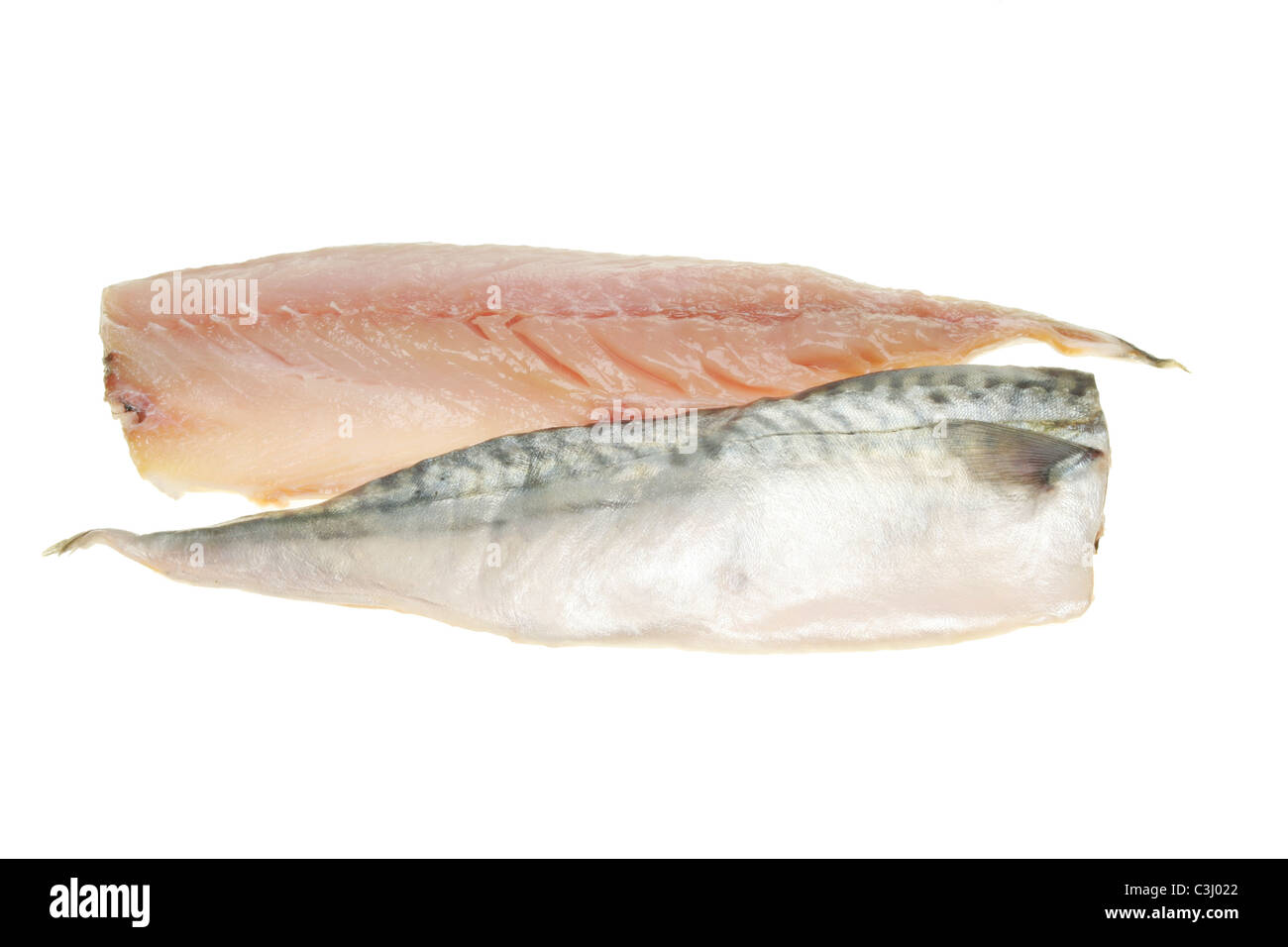 Due sgombri filetti di pesce isolato su bianco Foto Stock