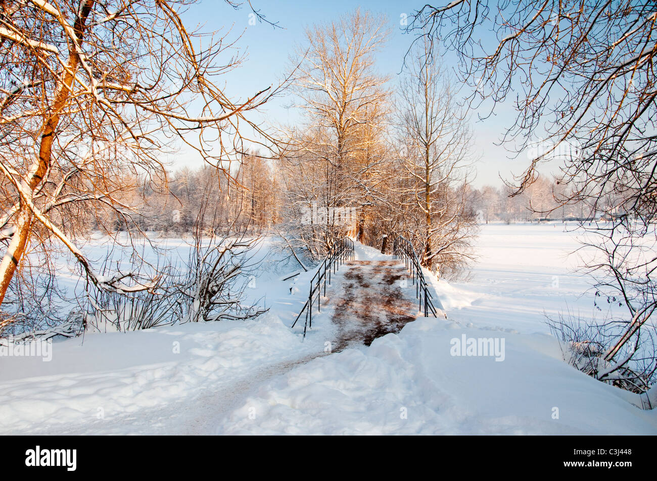 Fredda giornata invernale nei pressi di Tikhvin, regione di Leningrado, Russia Foto Stock