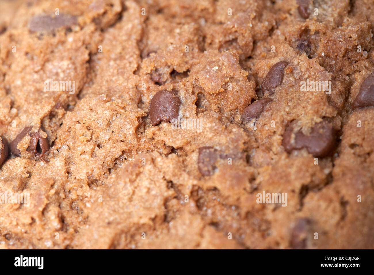 Close up di scaglie di cioccolato in uno choc chip biscotto cookie Foto Stock