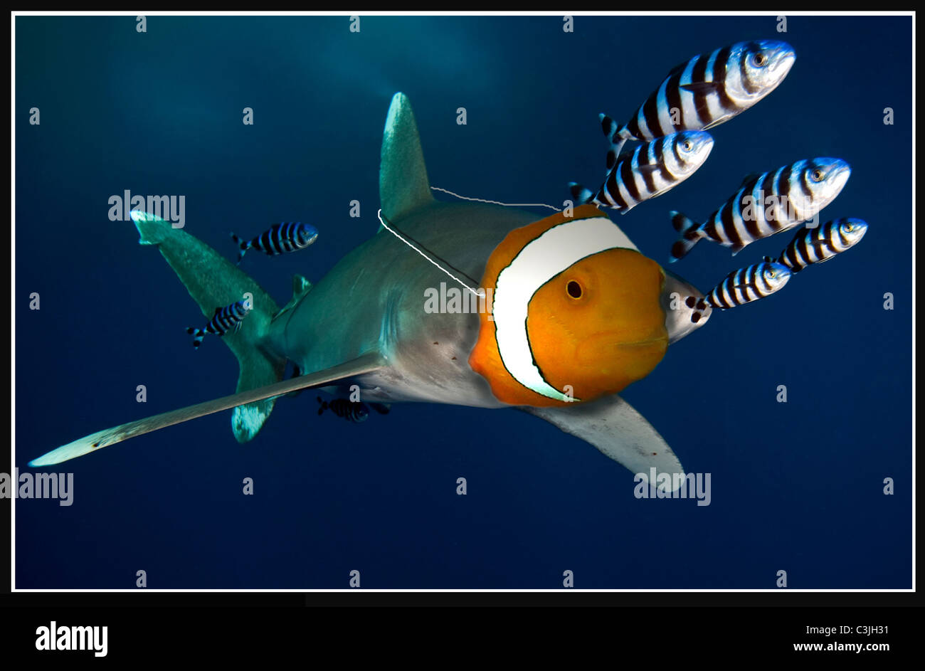 Shark con maschera di Nemo Foto Stock