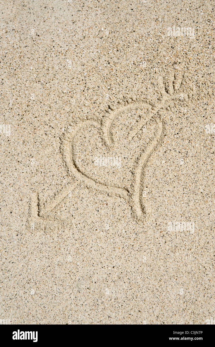 Asia, Indonesia, Papua Occidentale, Raja Ampat isole, forma di cuore in sabbia Foto Stock
