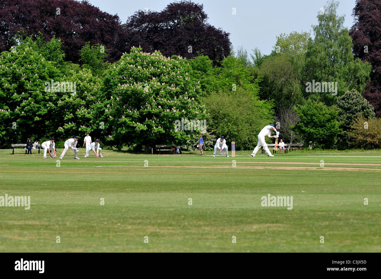 Partita di Cricket in corso presso l'Università parchi, Oxford, Oxfordshire Foto Stock