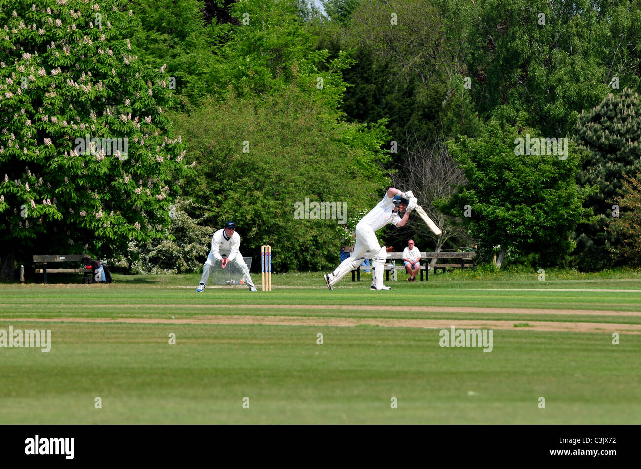 Partita di Cricket in corso presso l'Università parchi, Oxford, Oxfordshire Foto Stock