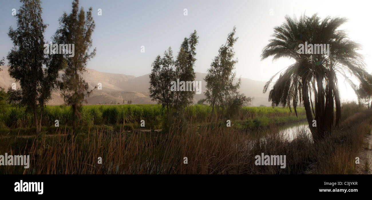 Panorama guardando verso il basso un viale alberato canal nel sole al tramonto con le montagne nel lontano sfondo, Egitto, Africa Foto Stock
