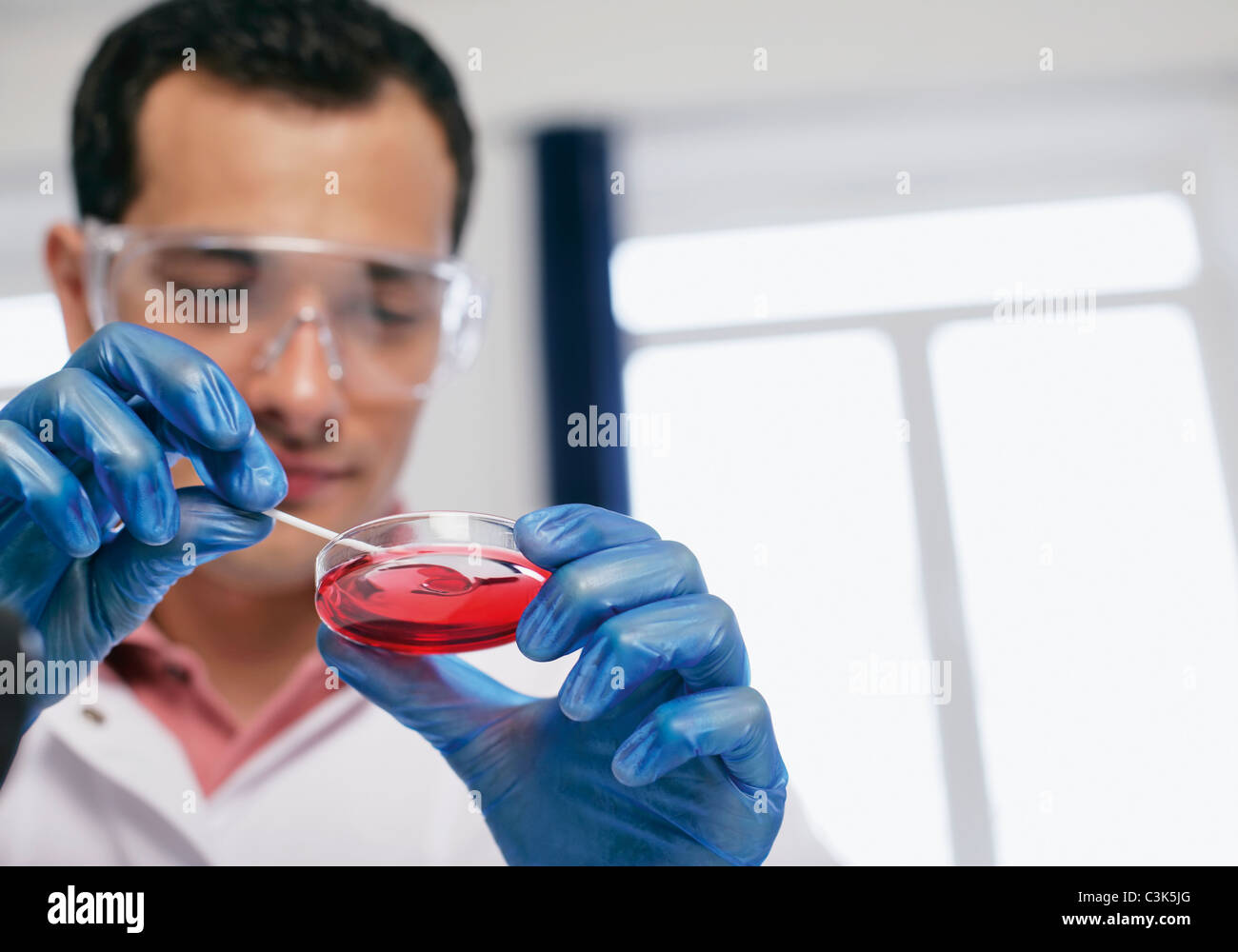 La Romania, Bucarest, tecnico di laboratorio con capsula di petri Foto Stock