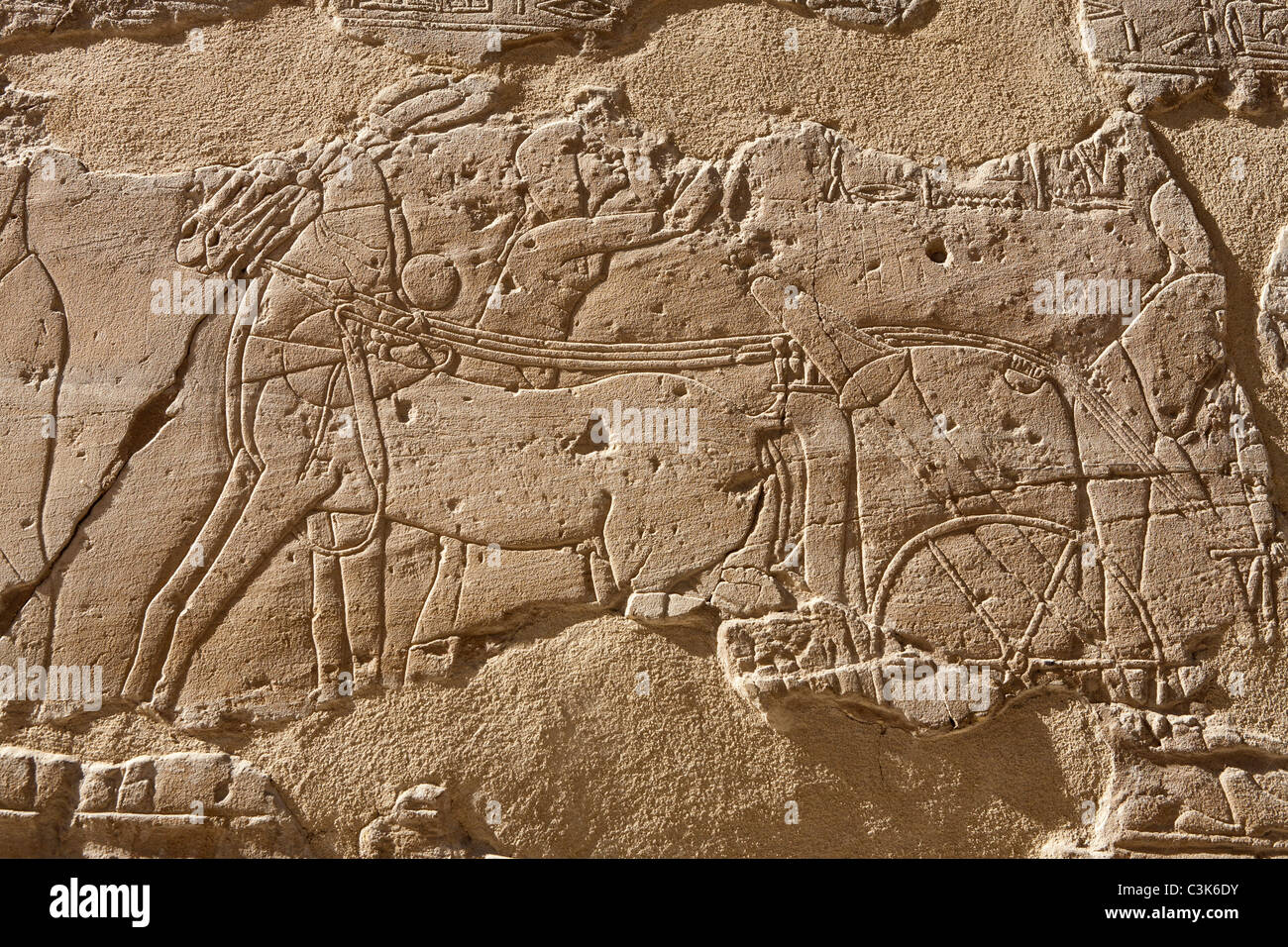 Chiusura del lavoro di soccorso sulle pareti del colonnato di Amehotep III del Tempio di Luxor in Egitto Foto Stock