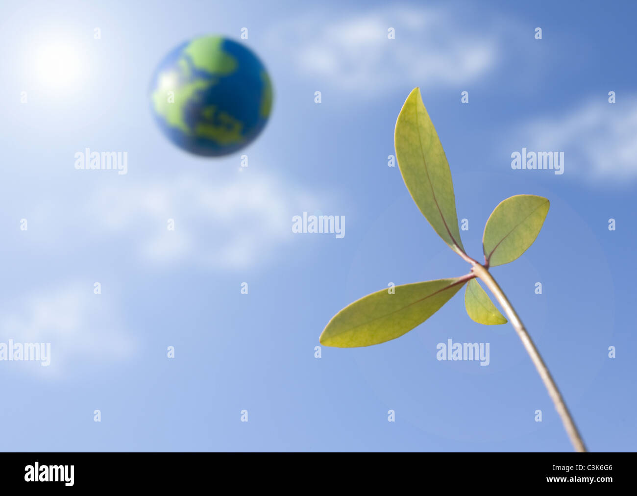 Cielo blu, foglie e globe Foto Stock