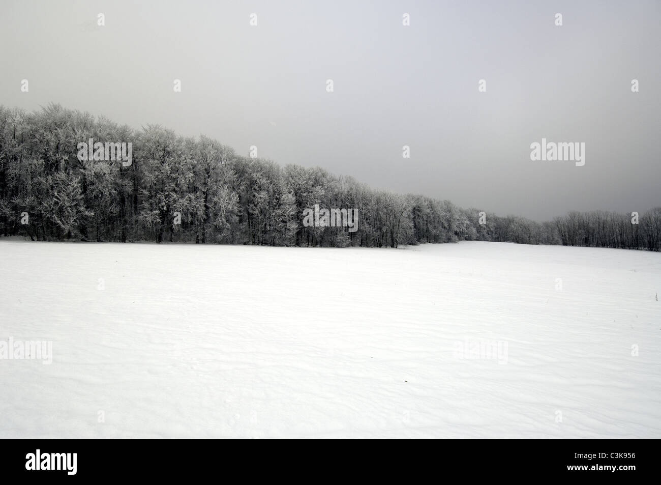 La depressione in inverno Foto Stock