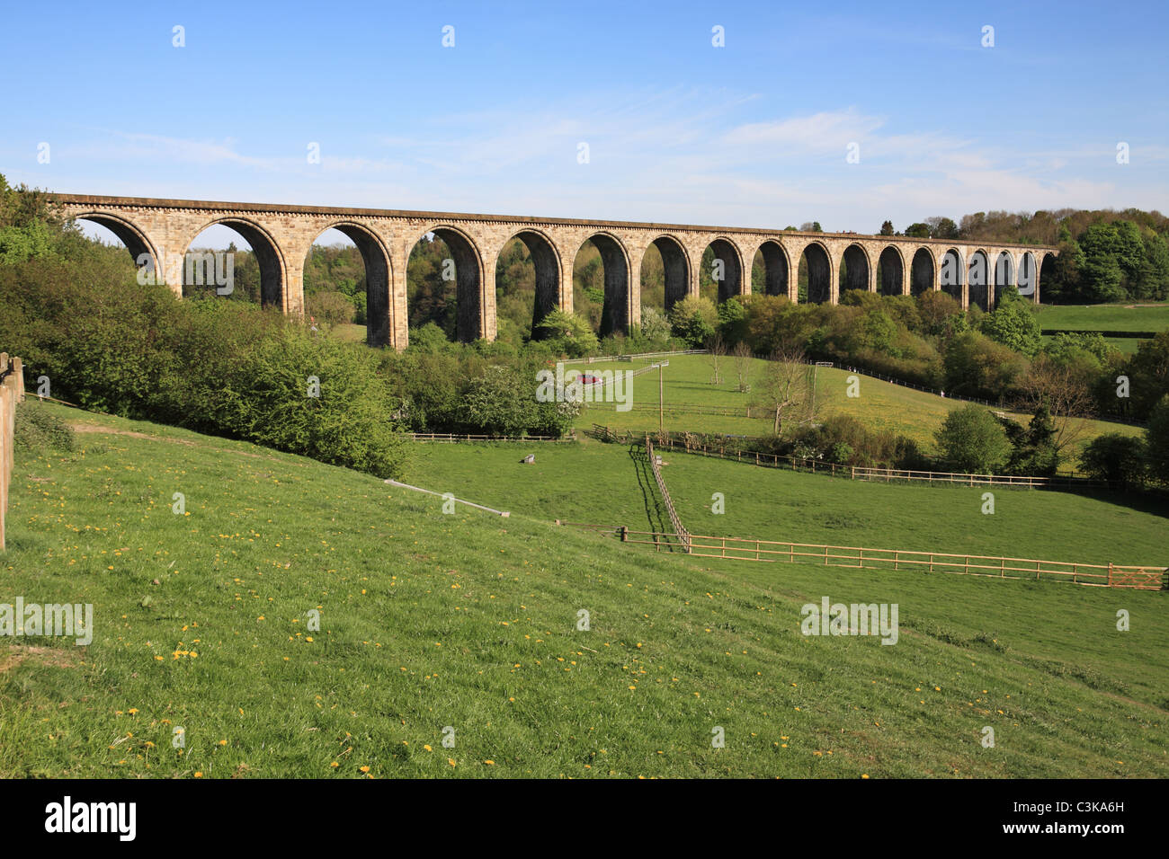 Newbridge viadotto ferroviario attraversa il fiume Dee visto da Ty Mawr Country Park, Cefn Mawr, Nr Wrexham, Galles del Nord, Regno Unito. Foto Stock