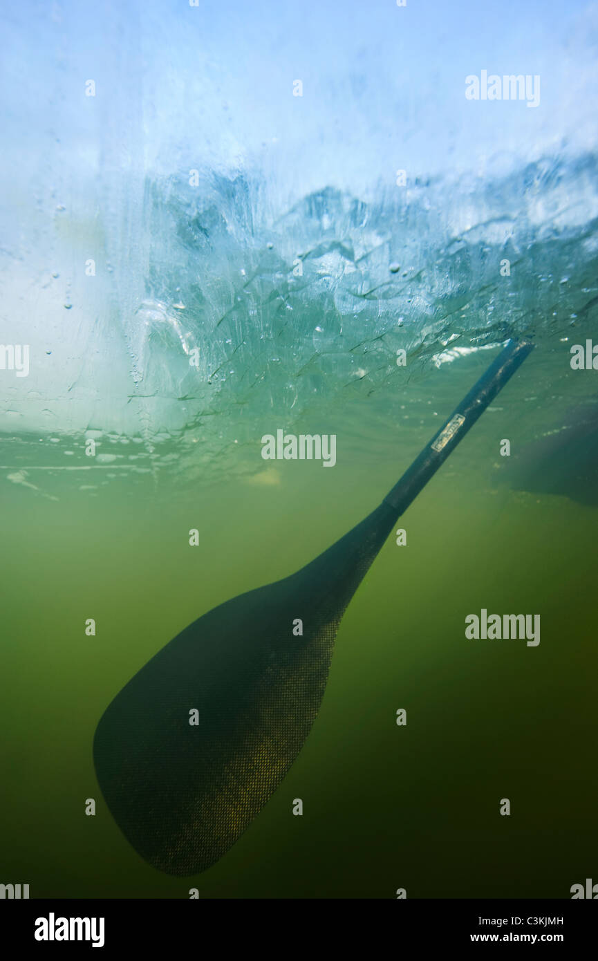 Oar subacquea, close-up Foto Stock