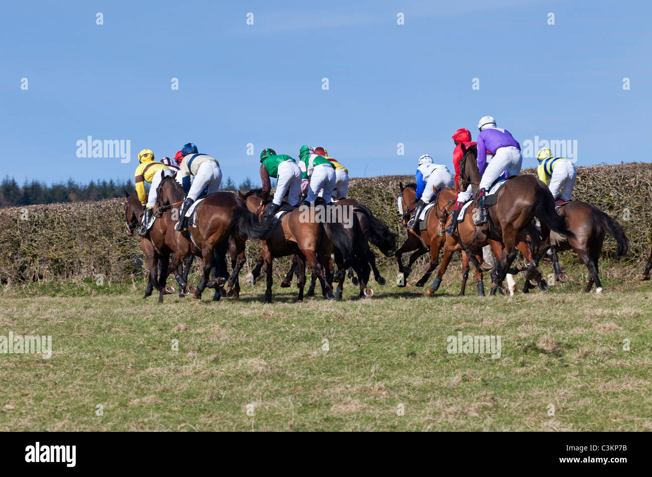 Cavalli e fantini AL PUNTO A PUNTO IN HOWICK CHEPSTOW Wales UK Foto Stock