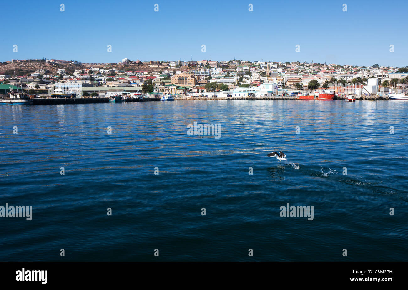 Mossel Bay Town visto dal mare e appena fuori dal porto, Provincia del Capo, in Sud Africa Foto Stock