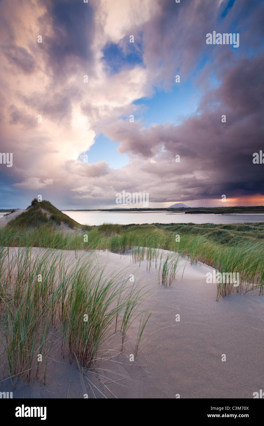 Dune Enniscrone al tramonto, nella contea di Sligo, Irlanda. Foto Stock