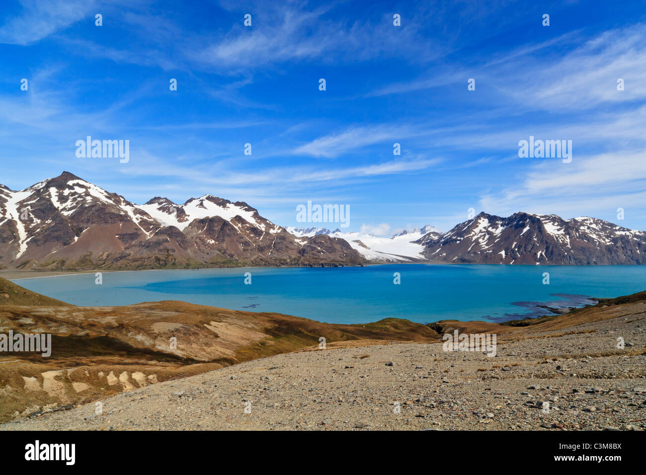 Sud Atlantico, Regno Unito, Georgia del Sud, fischio Cove, Fortuna Bay e vista delle montagne con vista oceano Foto Stock