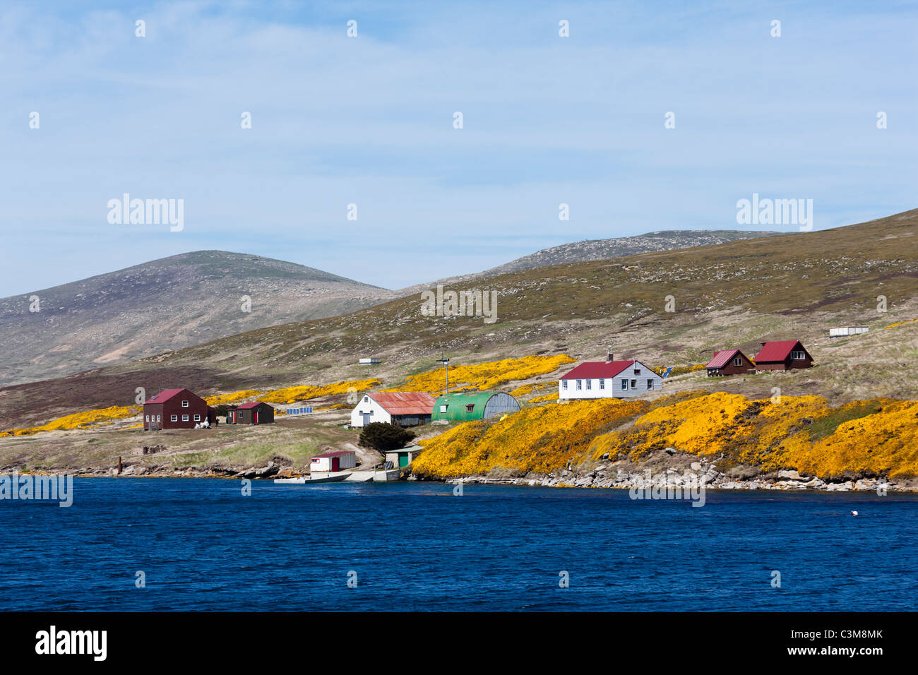 Atlantico Sud, Ovest, Falkland Isole Falkland, Falklands, vista di edifici ed Ulex Europaeus sulla nuova isola Foto Stock
