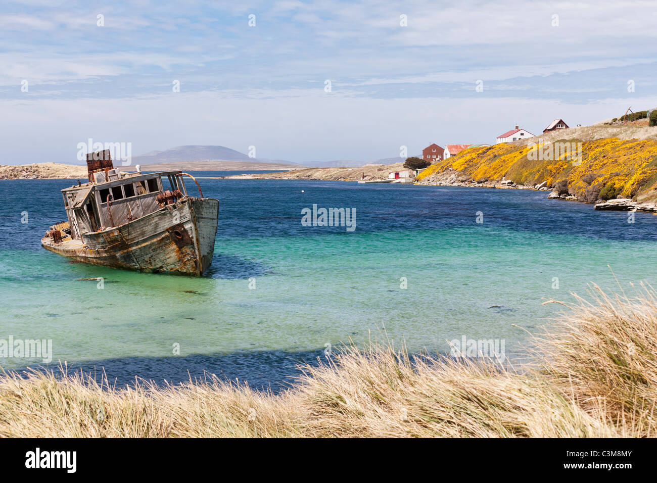 Atlantico Sud, Ovest, Falkland Isole Falkland, Falklands, nuova isola, vista del naufragio in acqua Foto Stock