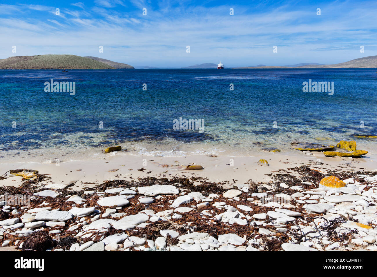 Atlantico Sud, Ovest, Falkland Isole Falkland, Falklands, nuova isola, vista della nave di crociera in mare Foto Stock