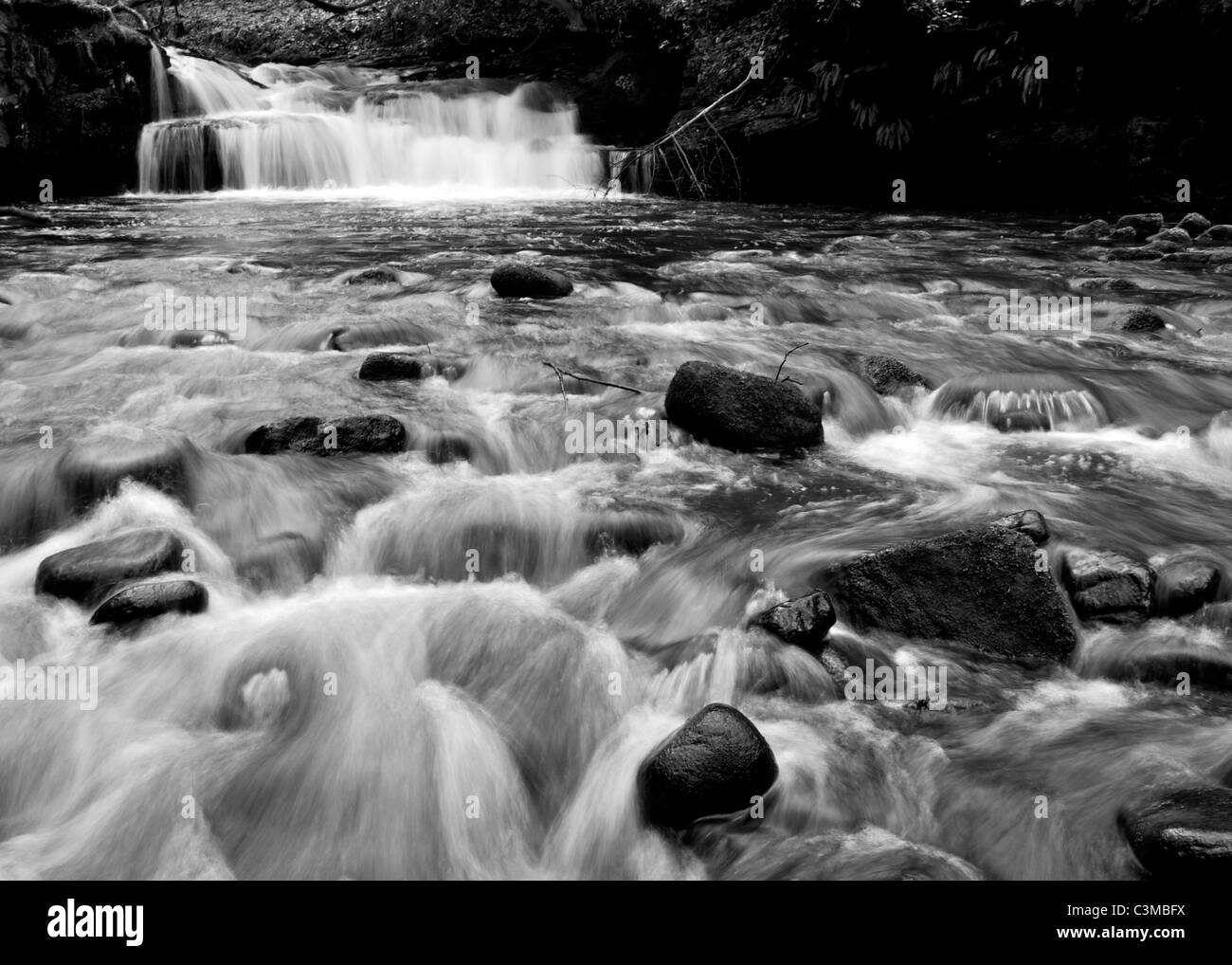 La cascata nel bosco indurite Foto Stock