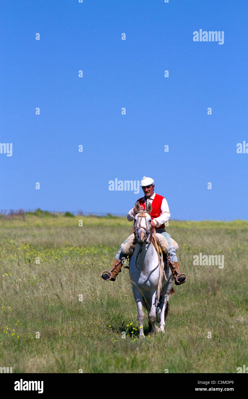 Gaucho andare a cavallo sulla Pampa Argentina. Foto Stock