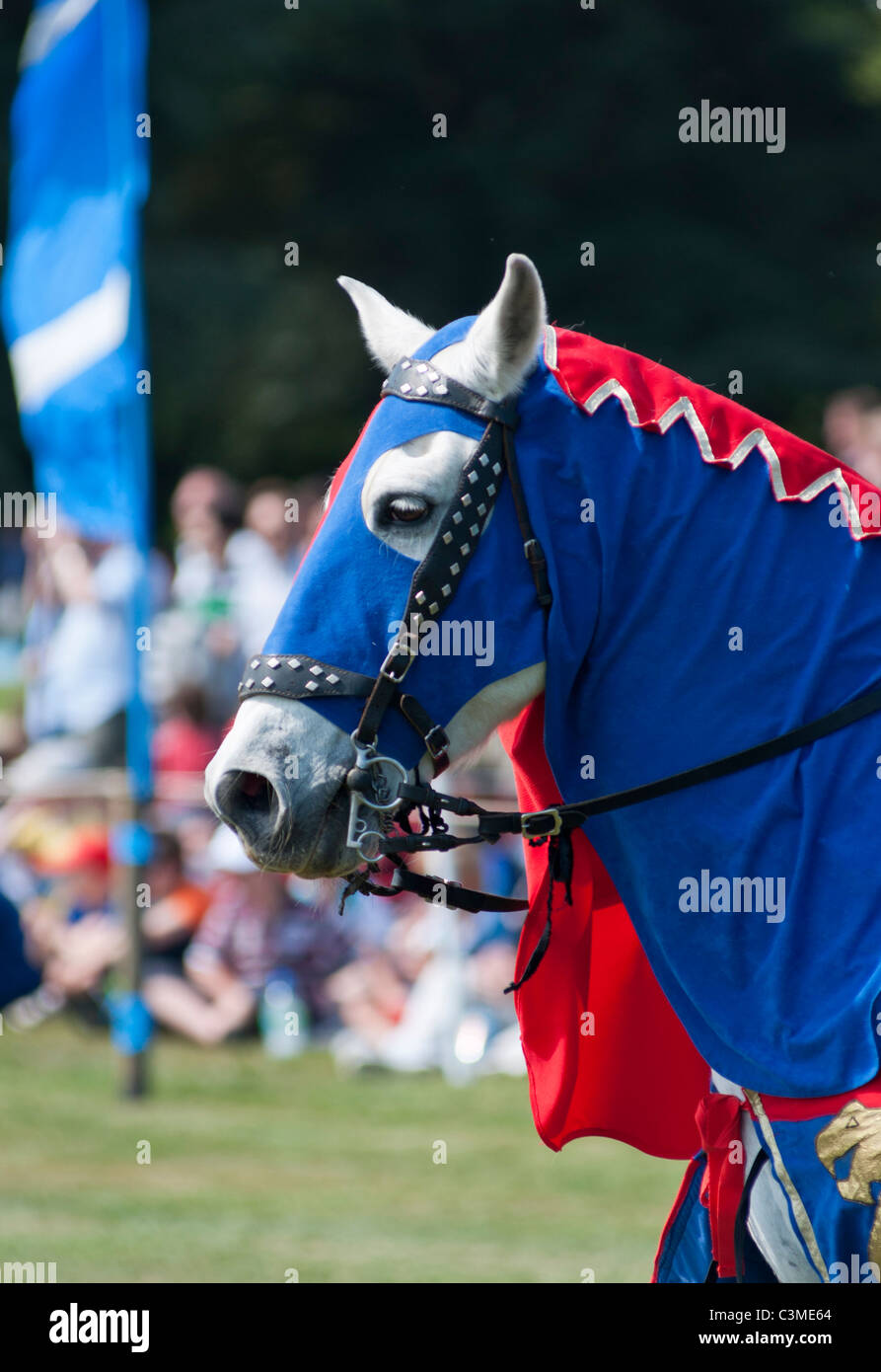 Un stallone bianco in battaglia medievale abito in una giostra del torneo al palazzo di Blenheim, Oxfordshire. Regno Unito Foto Stock