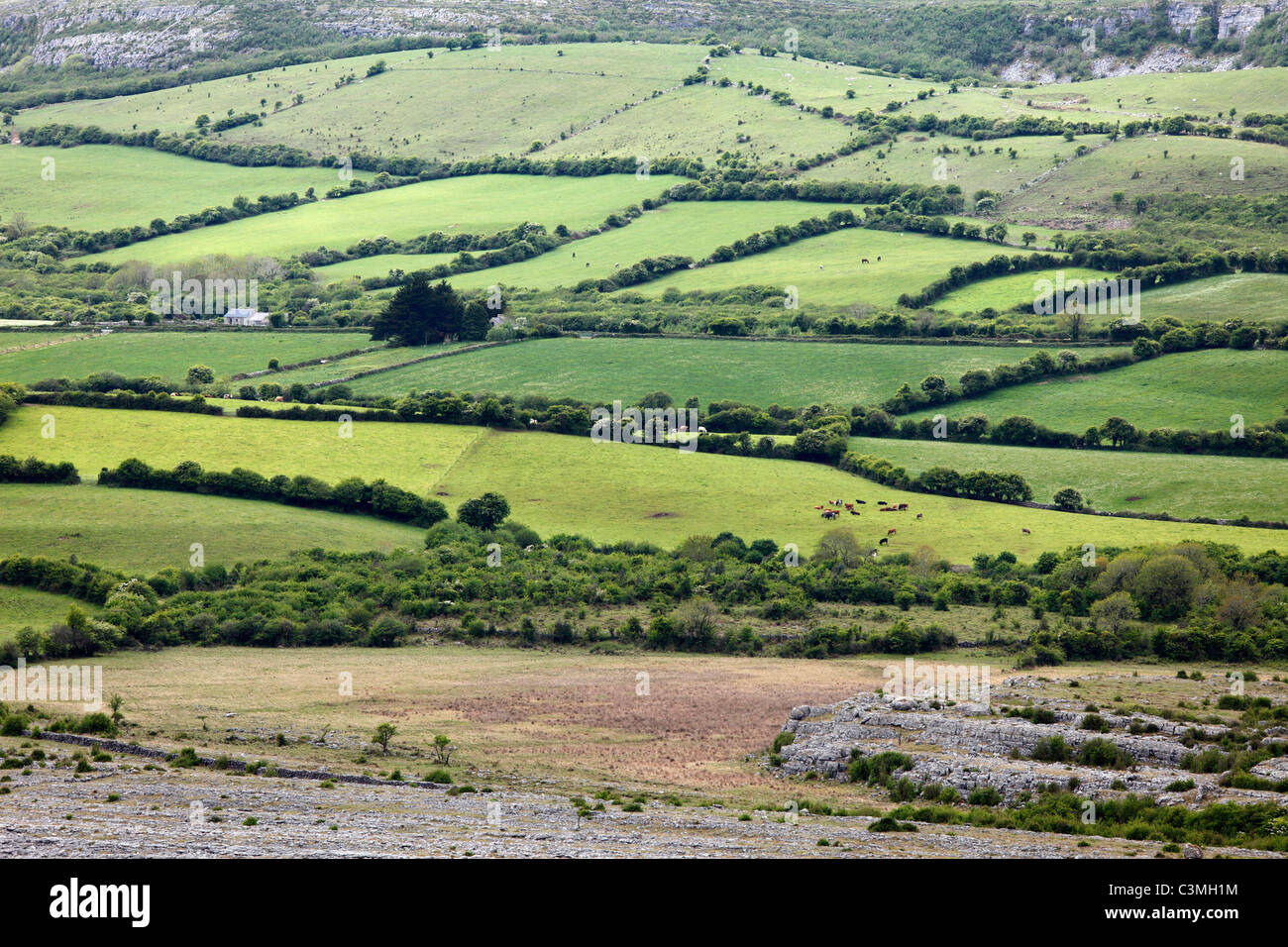Irlanda, County Clare, vista del paesaggio di campo Foto Stock