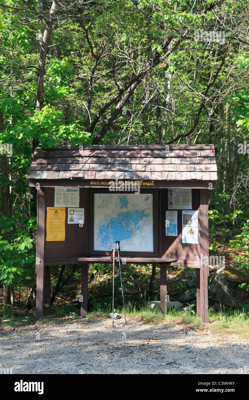 Testa di Trail, White Mountain National Forest, New Hampshire, New England, STATI UNITI D'AMERICA Foto Stock