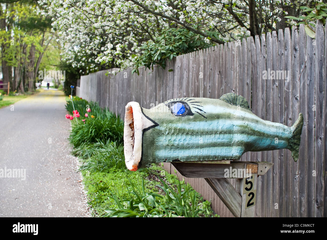 Un eccentrico a forma di pesce nella cassetta postale degli Stati Uniti. Foto Stock