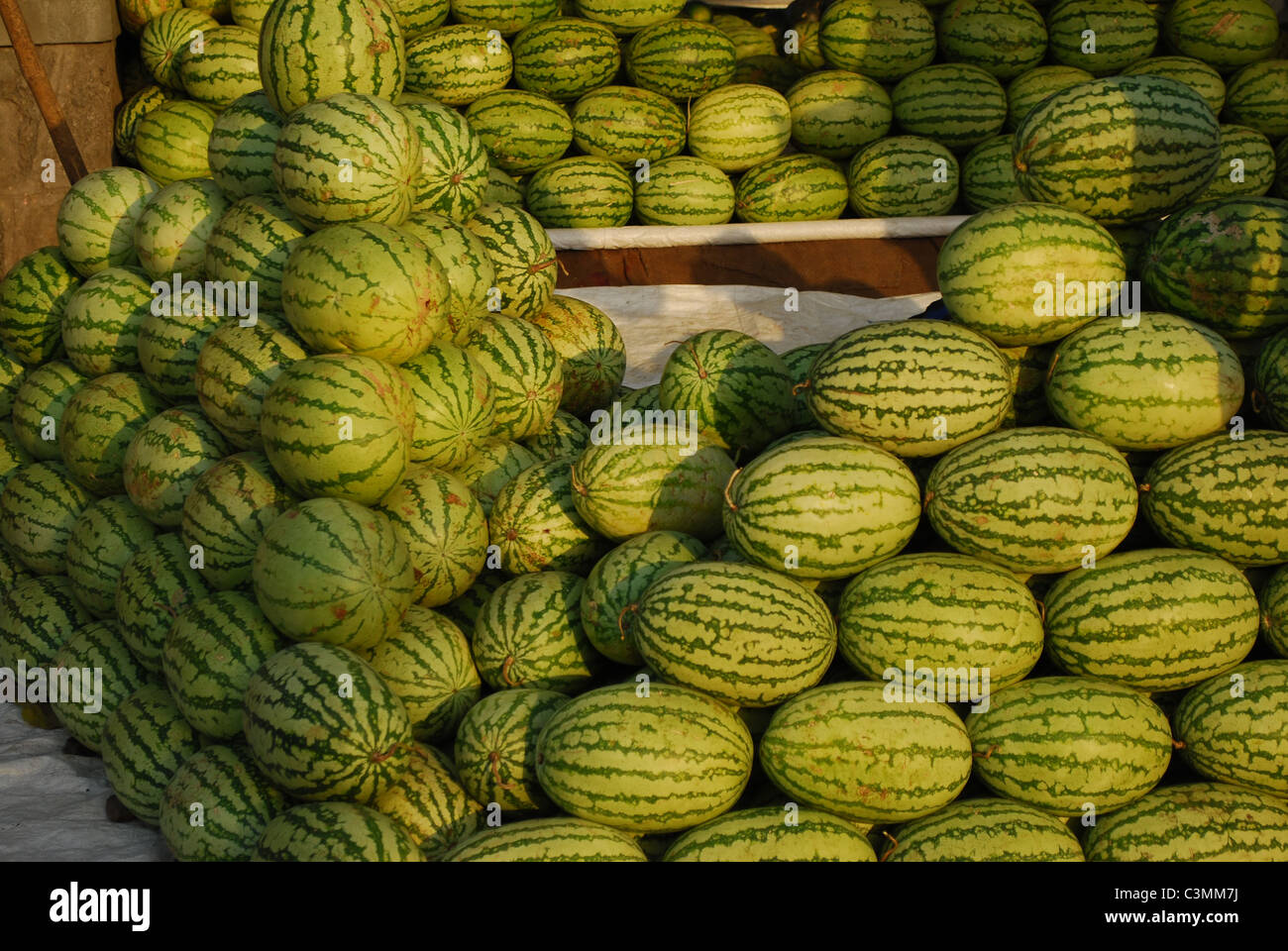 Water melon close-up Foto Stock