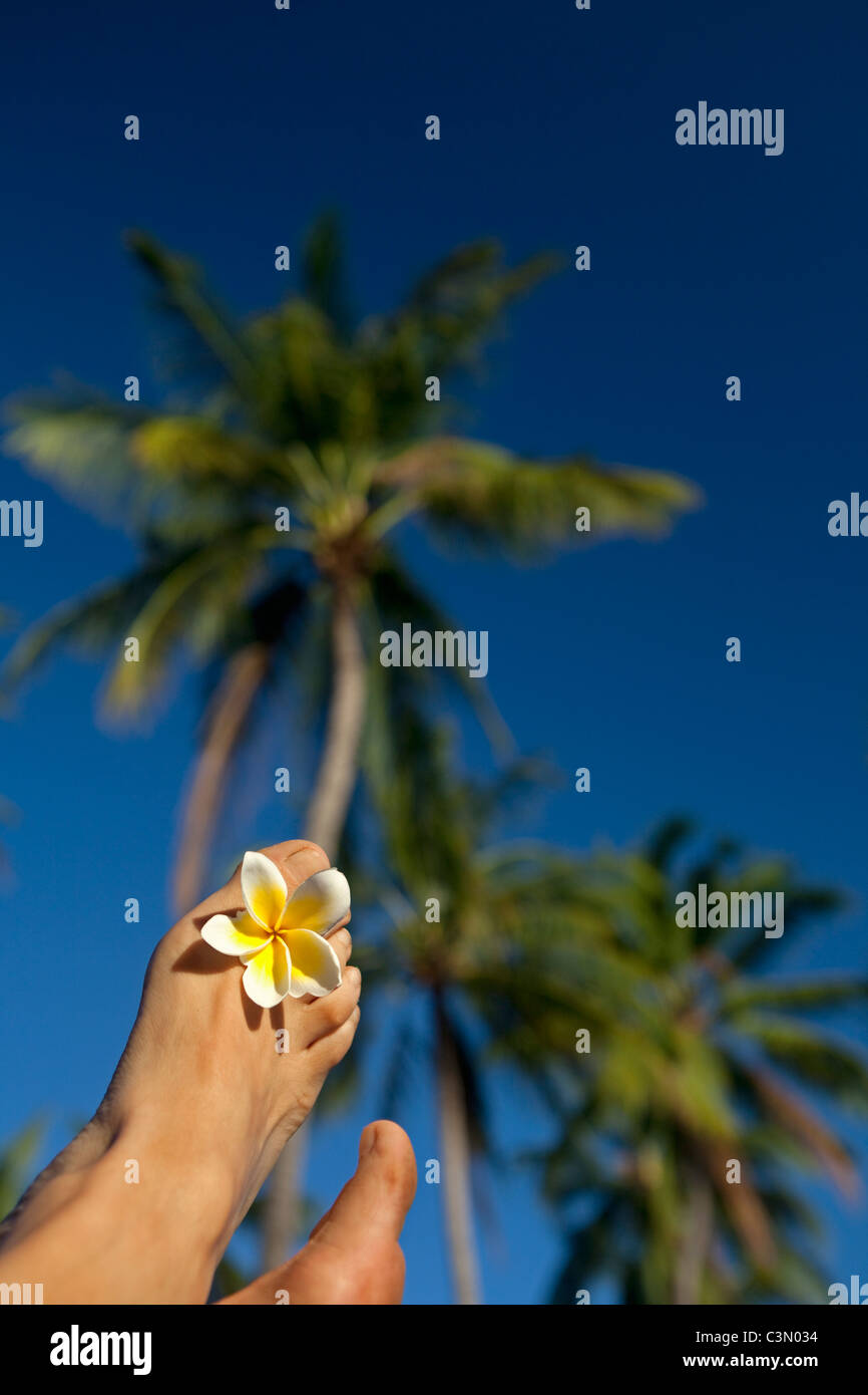 Indonesia, isola di Bali, vicino al villaggio di Tejakula, Gaia Oasis Resort donne, turistico, rilassante con fiore tra punta Foto Stock