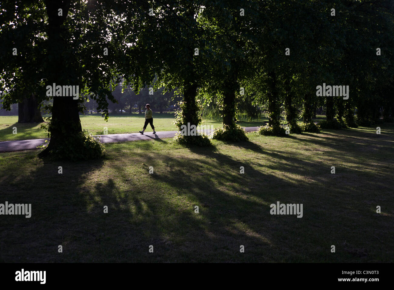 Una mattina walker prendendo quotidianamente esercizio di corsa a lunghe falcate tra 100 anno-vecchio coppia frassino a Londra il Ruskin Park. Foto Stock