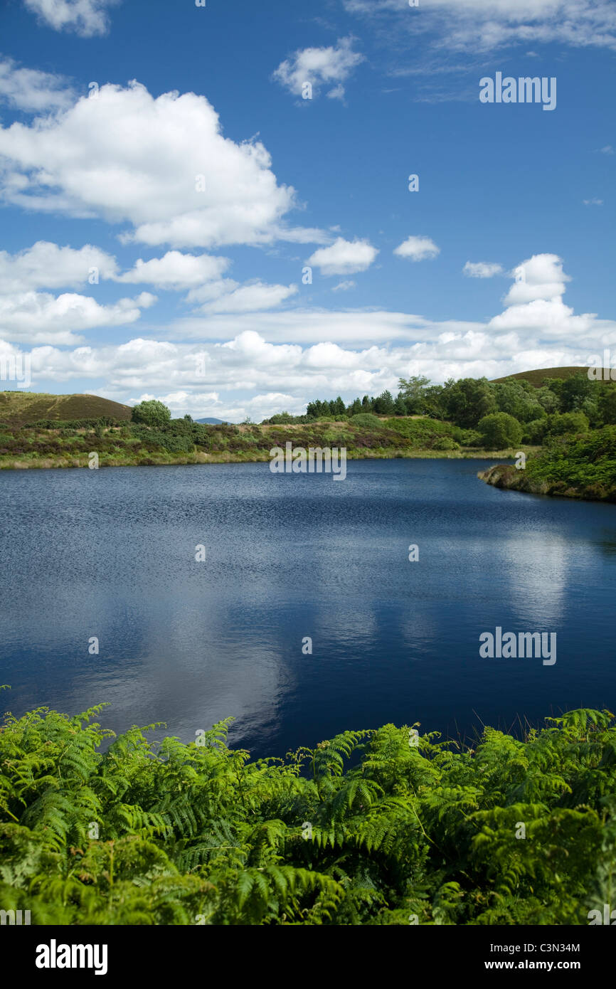 Estate al Gortin laghi, montagne Sperrin, County Tyrone, Irlanda del Nord. Foto Stock