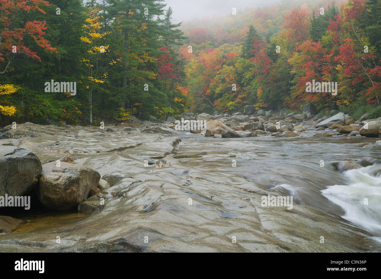 Foggy Swift River e picco di fogliame in New Hampshire. Foto Stock