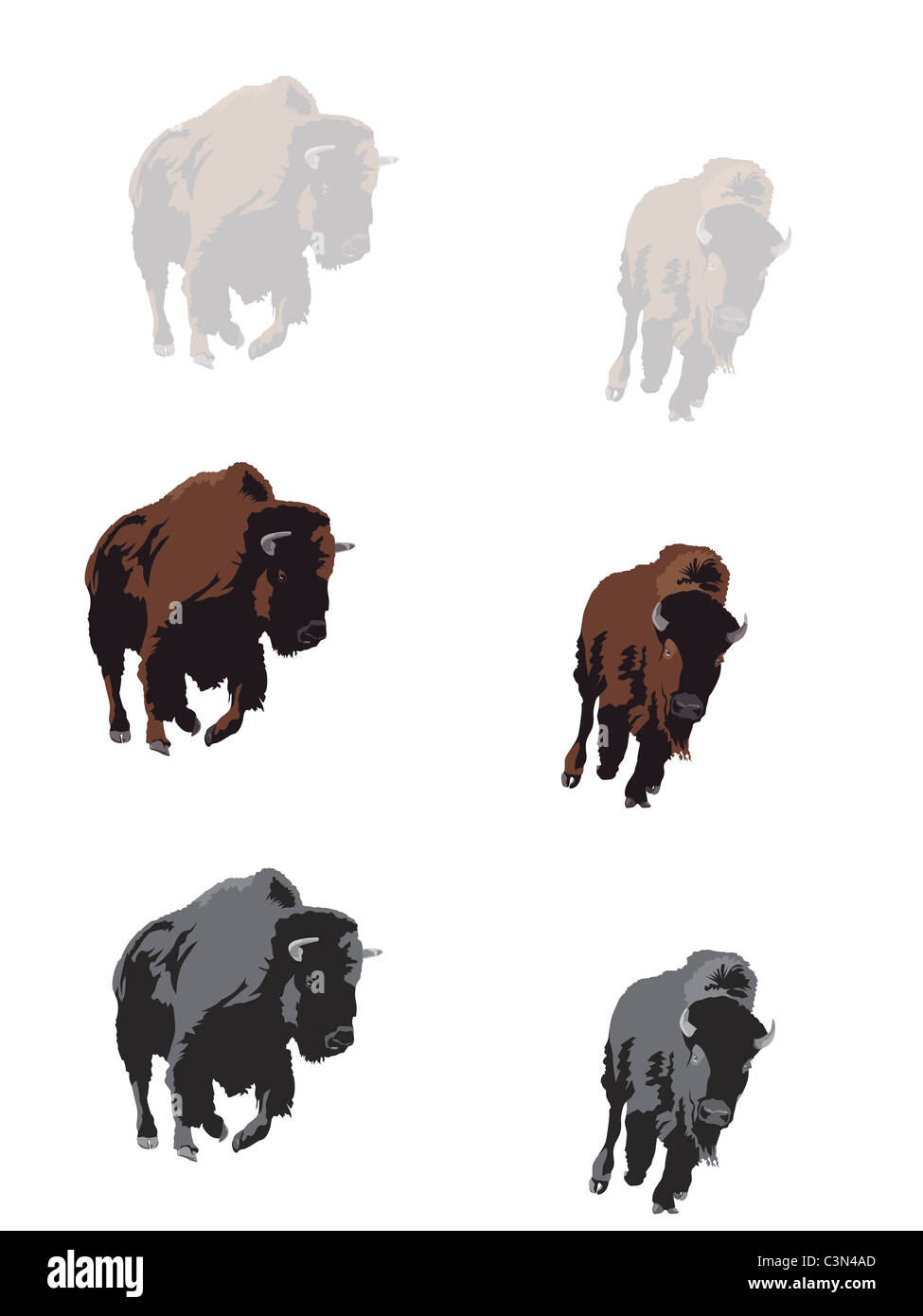 Bisonti americani al galoppo illustrazione Foto Stock