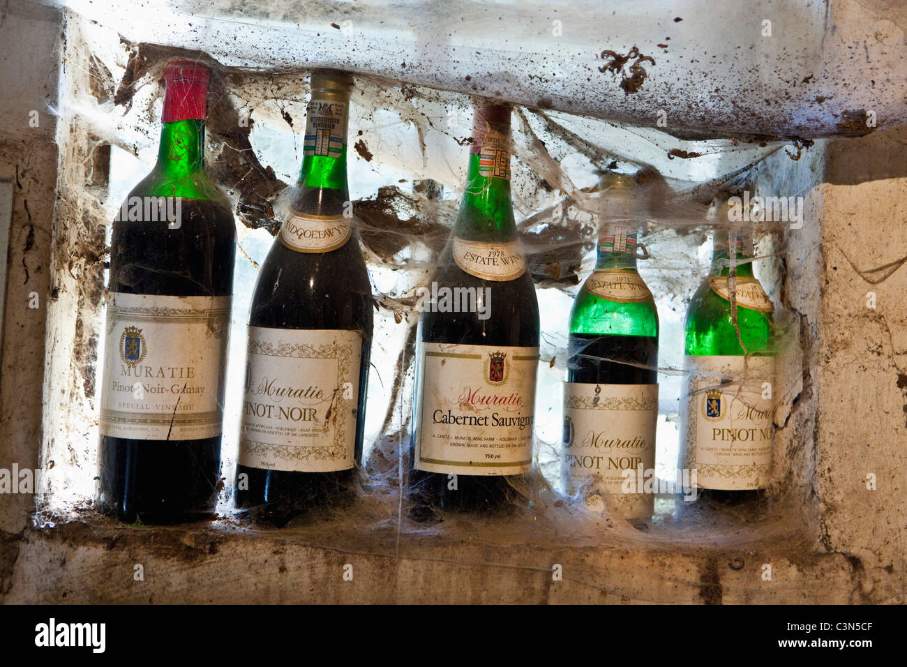 Sud Africa, Western Cape, Stellenbosch, Muratie Wine Estate. Bottiglie in sala di degustazione. Foto Stock