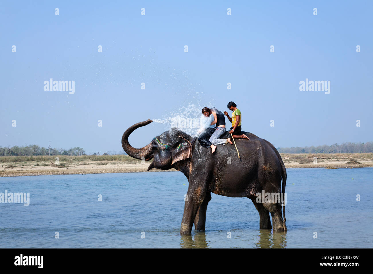 Nepal - Chitwan National Park - Fiume Rapti - elephant il bagno con i turisti Foto Stock
