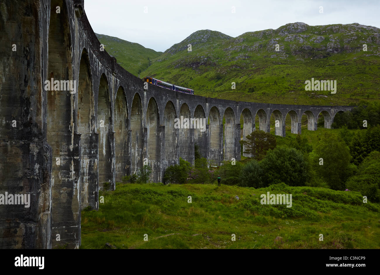 Vista del viadotto Glenfinnan, Scozia, testa di Loch Shiel Foto Stock