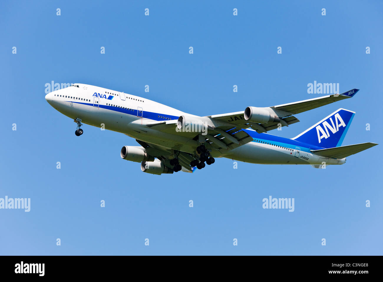 Volo tutte Nipon Airways ( Boeing 747-400 ) sbarco Foto Stock