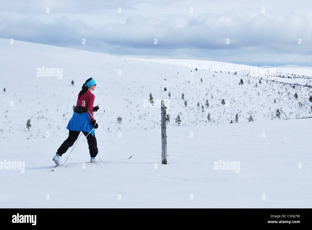 Sci di fondo in UKK National Park, Saariselka, Inari, Lappland finlandese Foto Stock